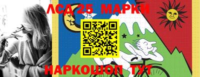 амф Гай