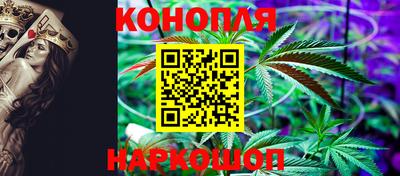 амф Гай