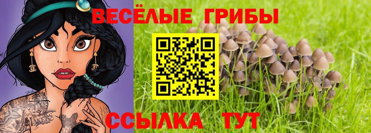 Псилоцибиновые грибы Psilocybine cubensis Нижнекамск