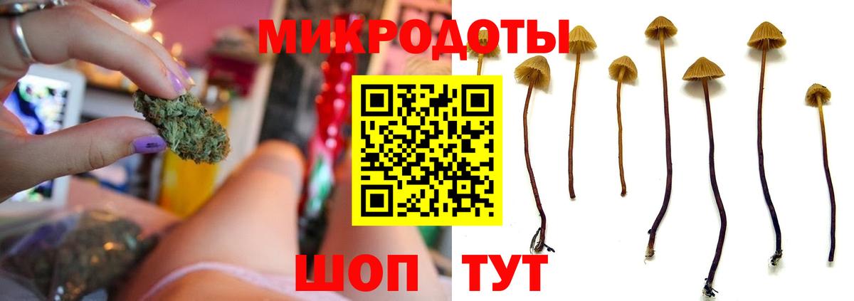 Галлюциногенные грибы Psilocybe  Псилоцибиновые грибы Magic Shrooms  Вход с VPN  Нижнекамск 